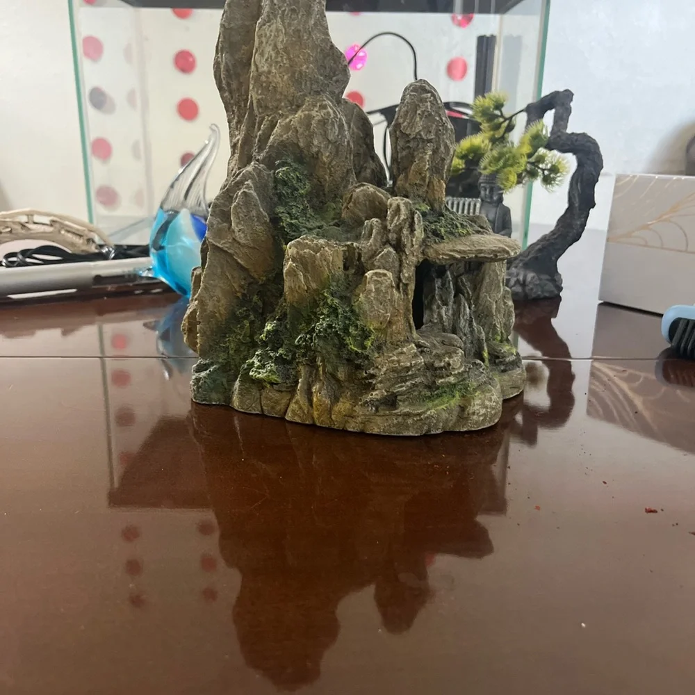 Glass Fish Tank with Accessories